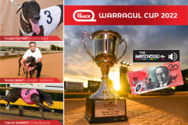 How to spend $20 on the SEN Track Warragul Cup Final