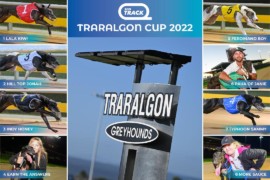 SEN Track Traralgon Cup Final: Armchair Guide