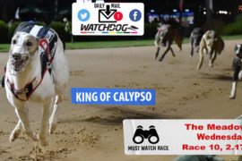 Daily Mail: Will ‘King’ reign supreme at The Meadows?