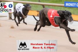 Daily Mail: Will ‘Money’ land the cash at Horsham?