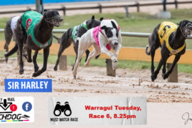 Daily Mail: ‘Harley’ set to motor at Warragul