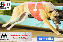 Daily Mail: ‘Tesla’ set to electrify Sandown Park