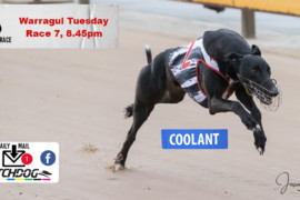 Daily Mail: ‘Coolant’ to freeze rivals at Warragul