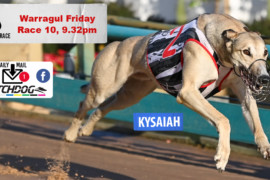 Daily Mail: ‘Kysaiah’ to prove elusive at Warragul