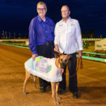Zippy Tesla with handler Tom Dailly and Ron Hawkswell, who called his 40th Silver Chief on the night.