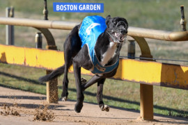 Boston Garden’s Horsham slam dunk