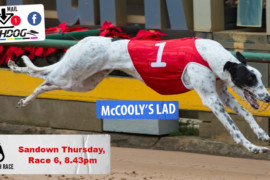 Daily Mail: ‘Lad’ set to star at Sandown Park