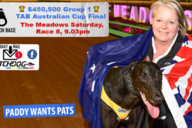 Daily Mail: Legendary night at The Meadows