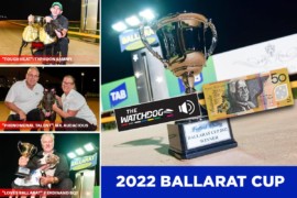 How to spend $50 on TAB’s ‘All In’ Ballarat Cup market