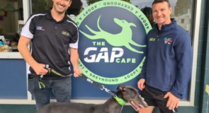 GAP racks up 26 years of success