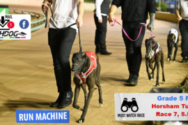 Daily Mail: Running machines at Horsham
