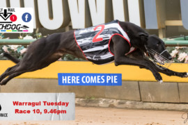 Daily Mail: ‘Pie’ night at Warragul