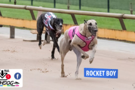 Daily Mail: ‘Rocket’ set to launch at Warragul