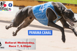 Daily Mail: ‘Panama’ set to extend picket fence