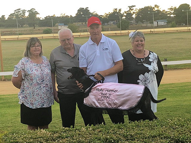 Temora Greyhound Racing