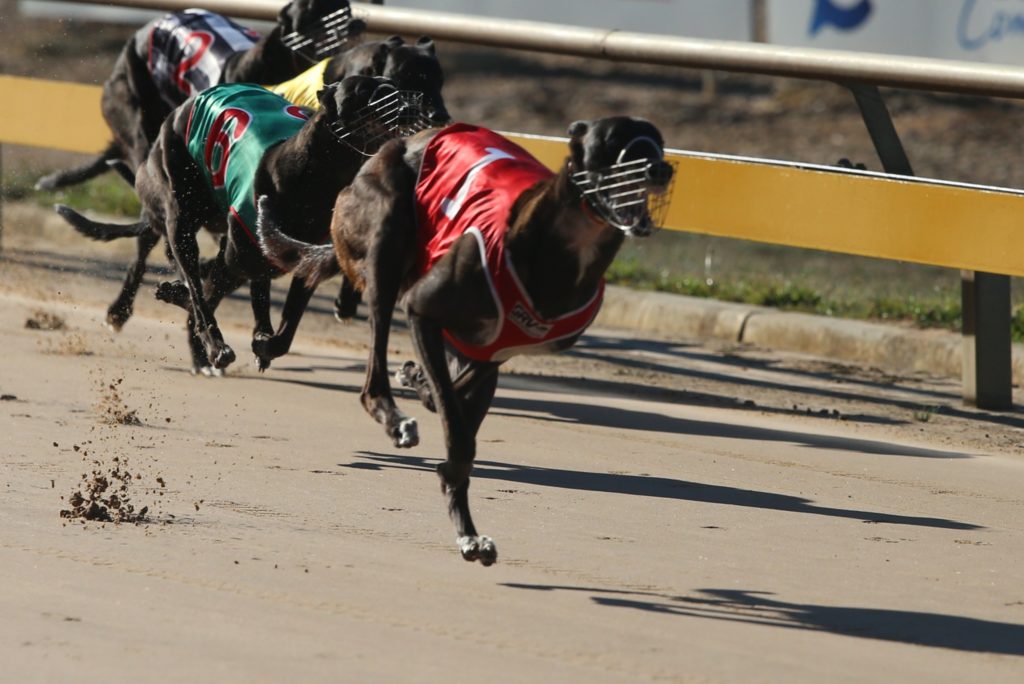 ASTON EXCEED - Bendigo semi