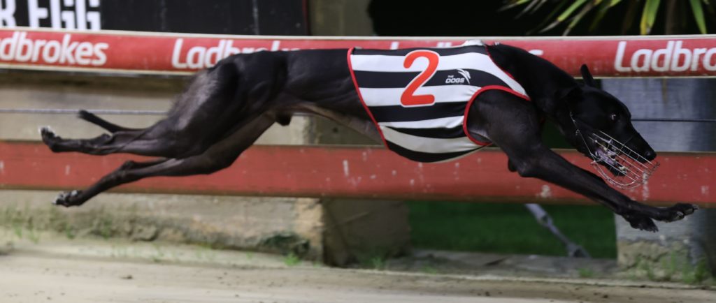 Big Opal Rocks - MDC action