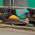 Compliance wins the Ballarat Cup.