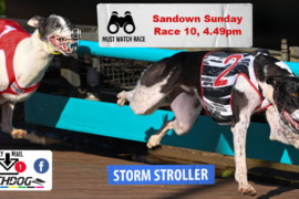 Daily Mail: No Sunday stroll at Sandown Park