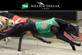 Victoria’s Million Dollar ‘Man’
