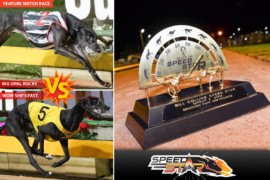 Bill Collins Speed Star: Armchair Guide