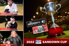 How to spend $20 on the RSN Sandown Cup Final