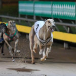 Aston Pablo wins the Wannon Function Centre Go Distance Racing event.