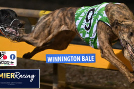 Daily Mail: Win for ‘Winnington’ at The Meadows?