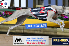 Daily Mail: Three Group 1s at Sandown Park