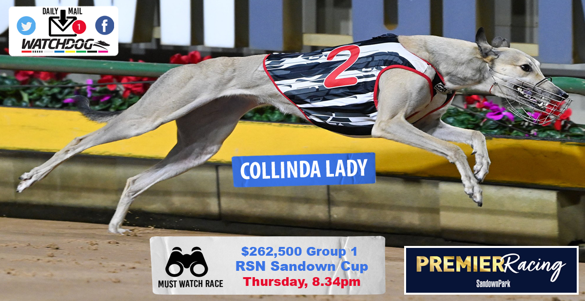 The Watchdog's Daily Mail