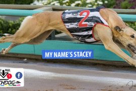 Daily Mail: ‘Stacey’ set to star at Shepparton