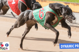 Daily Mail: ‘Prince’ to be dynamic at Ballarat