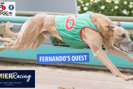 Daily Mail: ‘Fernando’ on quest for victory
