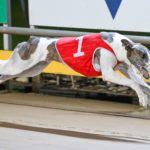 Ferdinand Boy charges to the finish line in the Warrnambool Cup.