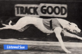 Listowel Sue’s ‘Cup of Dreams’