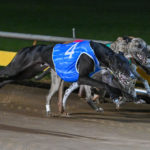 Mobile Legend takes out the Stan Lake Memorial.