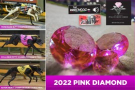 How to spend $20 on three Pink Diamond Finals