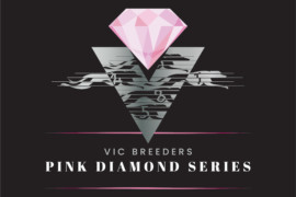 Pink Diamond Finals: Armchair Guide