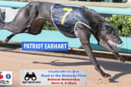 Daily Mail: ‘Earhart’ to fly at Ballarat?