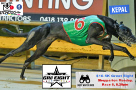Daily Mail: ‘Kepal’ looks great at Shepparton
