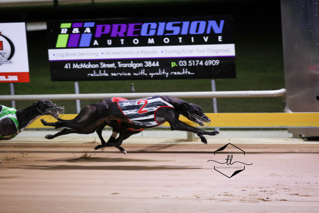 Glenview Cup - Maxed Out