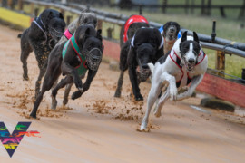 Prizemoney increases set for implementation