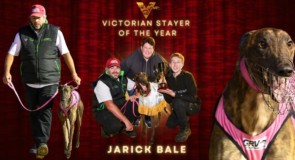 Jarick Bale – Stayer of the Year