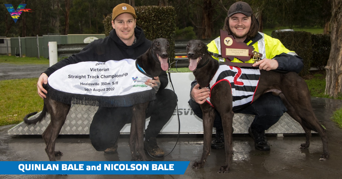 Gibbons ‘plays it straight’ at Healesville