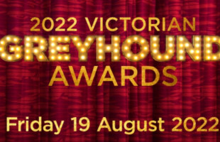 Who will be crowned Victorian Greyhound of the Year?