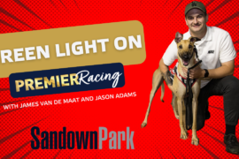 Green Light On – Episode 62 – Sandown Park form and Jim’s keen on a few this week! Neddy Mac too!