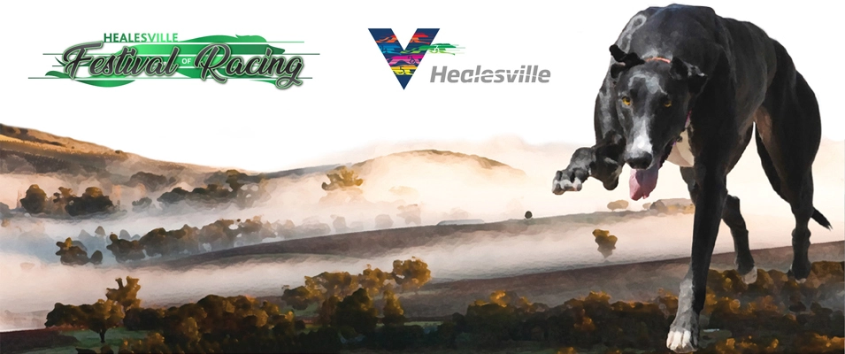 Healesville Festival of Racing