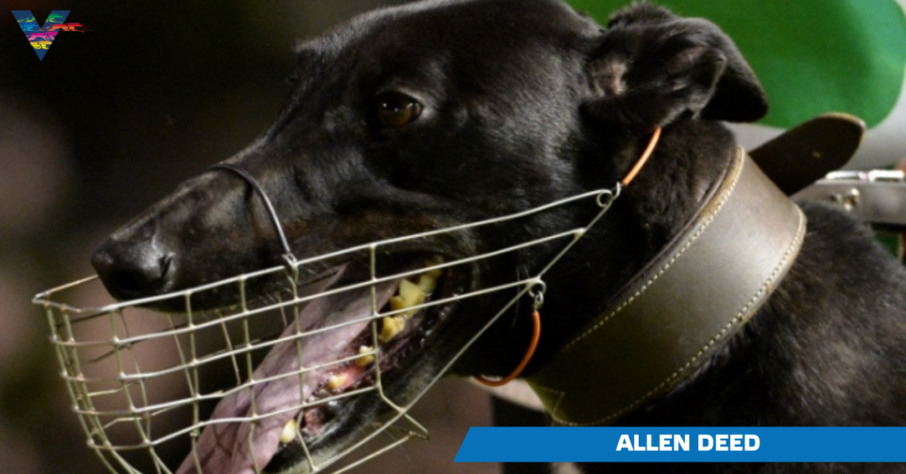 Allen Deed 20150103 1
