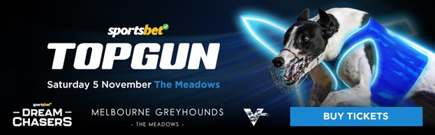 Topgun ad at bottom of article