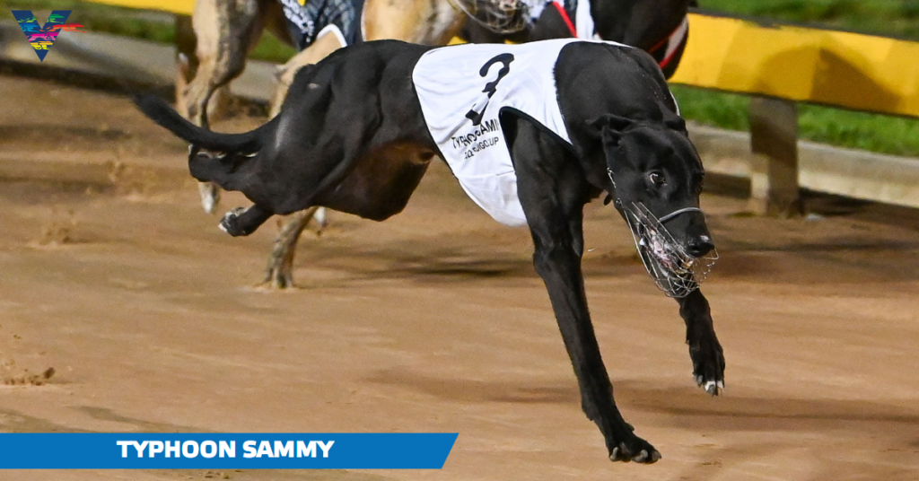 Typhoon Sammy 1